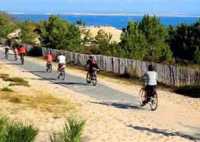 Timounyan T1 N24 Centre Animaux Acceptes Apartment