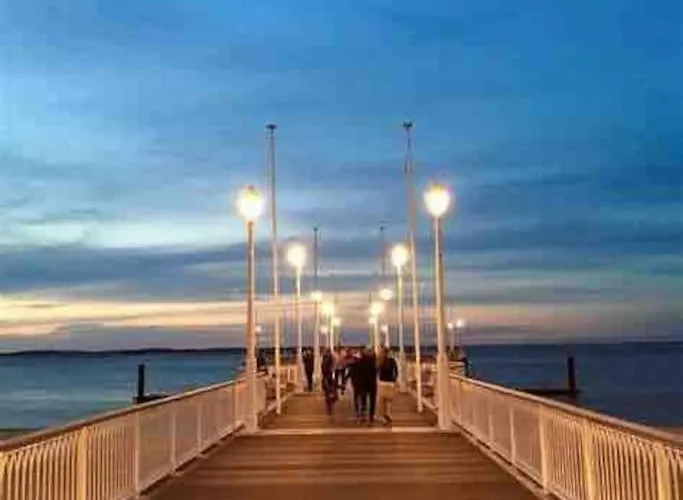 Timounyan T1 N24 Centre Animaux Acceptes Arcachon