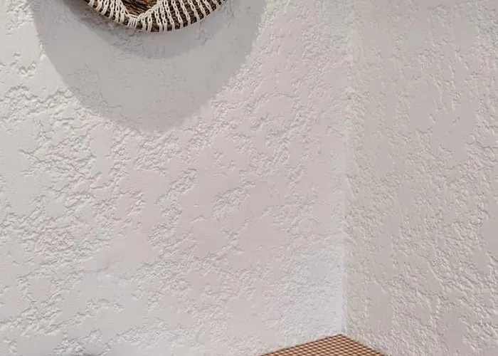 Timounyan T1 N24 Centre Animaux Acceptes