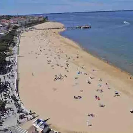 Timounyan T1 N24 Centre Animaux Acceptés *