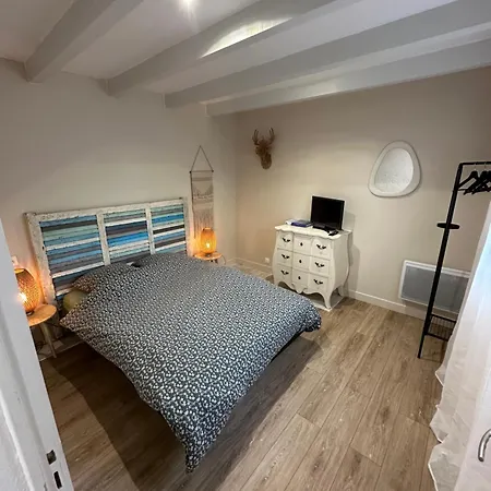 Timounyan T1 N24 Centre Animaux Acceptes Arcachon