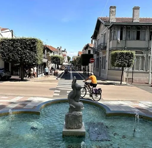 Apartment Timounyan T1 N24 Centre Animaux Acceptes *